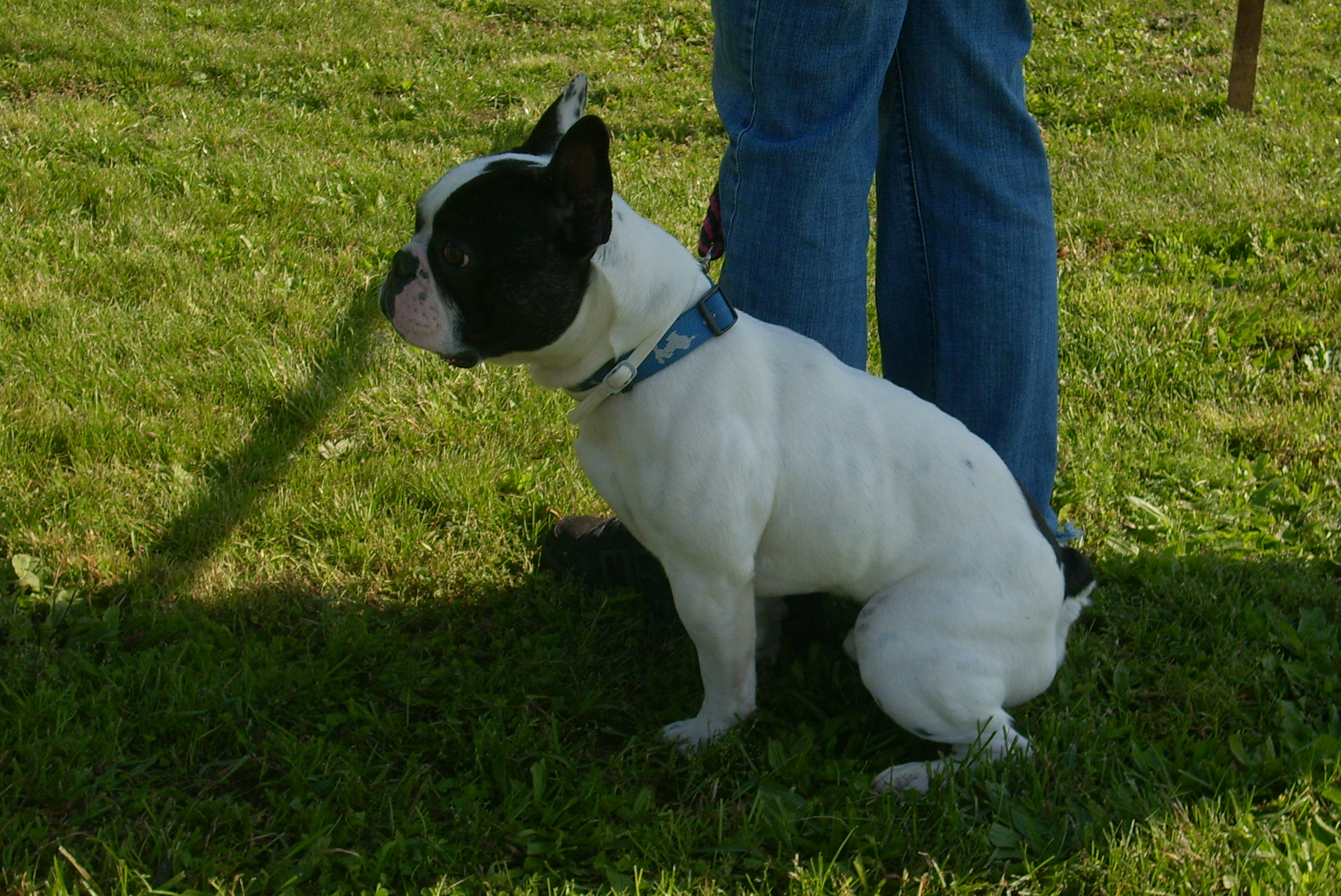IMG_0080.JPG